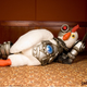 Image for article titled What will happen if Robert Downey Jr. stops being Iron Man?